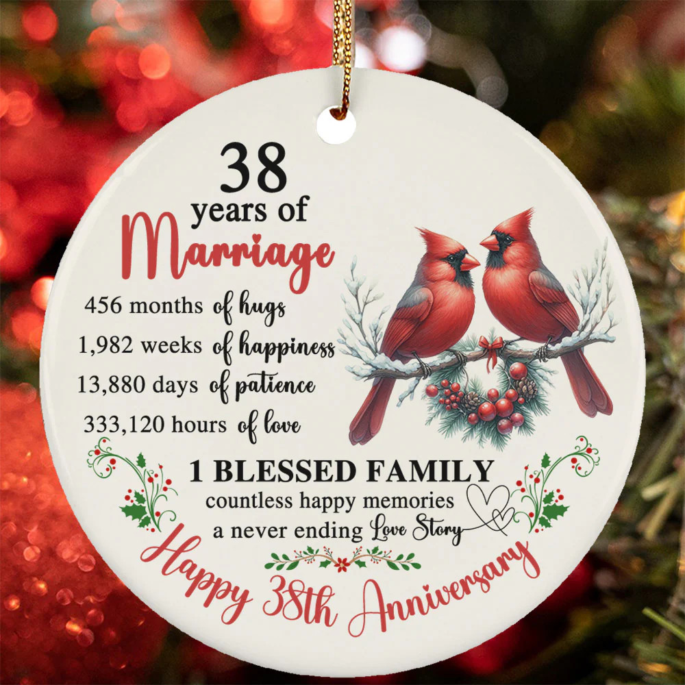 38 Year Of Marriage Ornament Happy 38th Anniversary Cardinal Love Christmas Gift