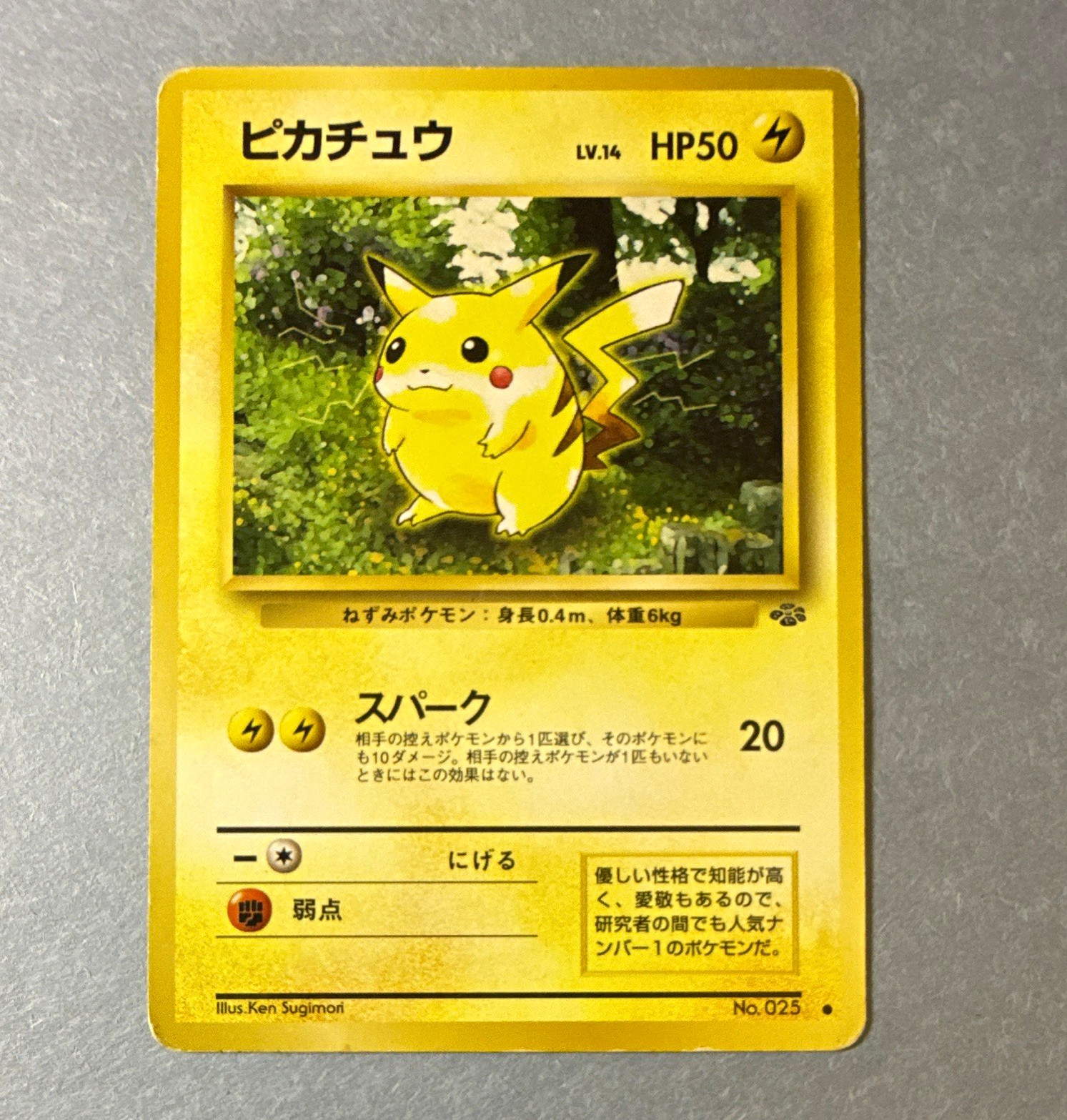 The Pokémon Company Pikachu 50 HP No.025 Pokemon Jungle Common Regular JP