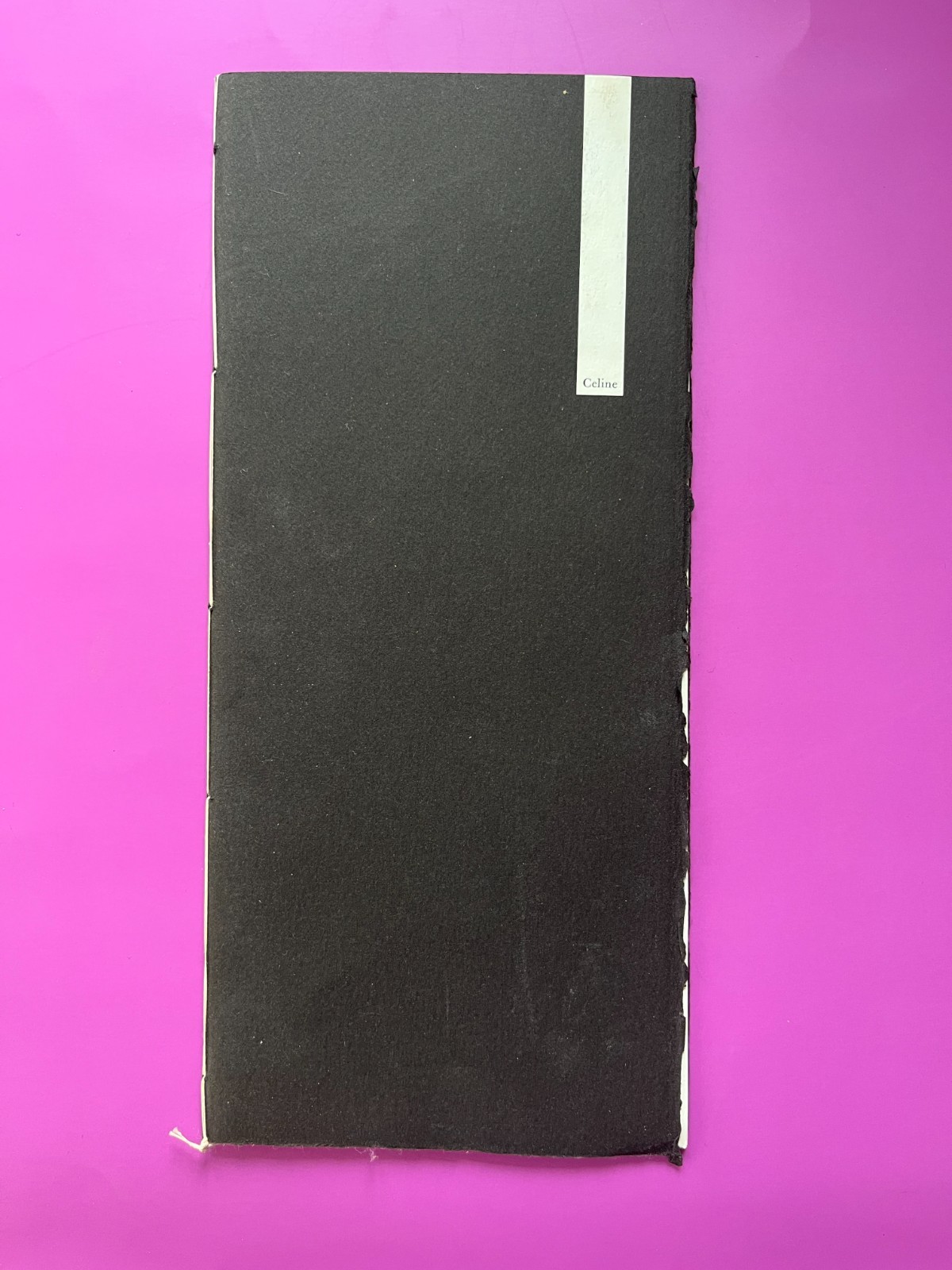 SOMBRE REPTILES PRESS ~ 1981 ~ Jerry Ratch, Mary Ann Hayden ~ Ltd ~ CELINE
