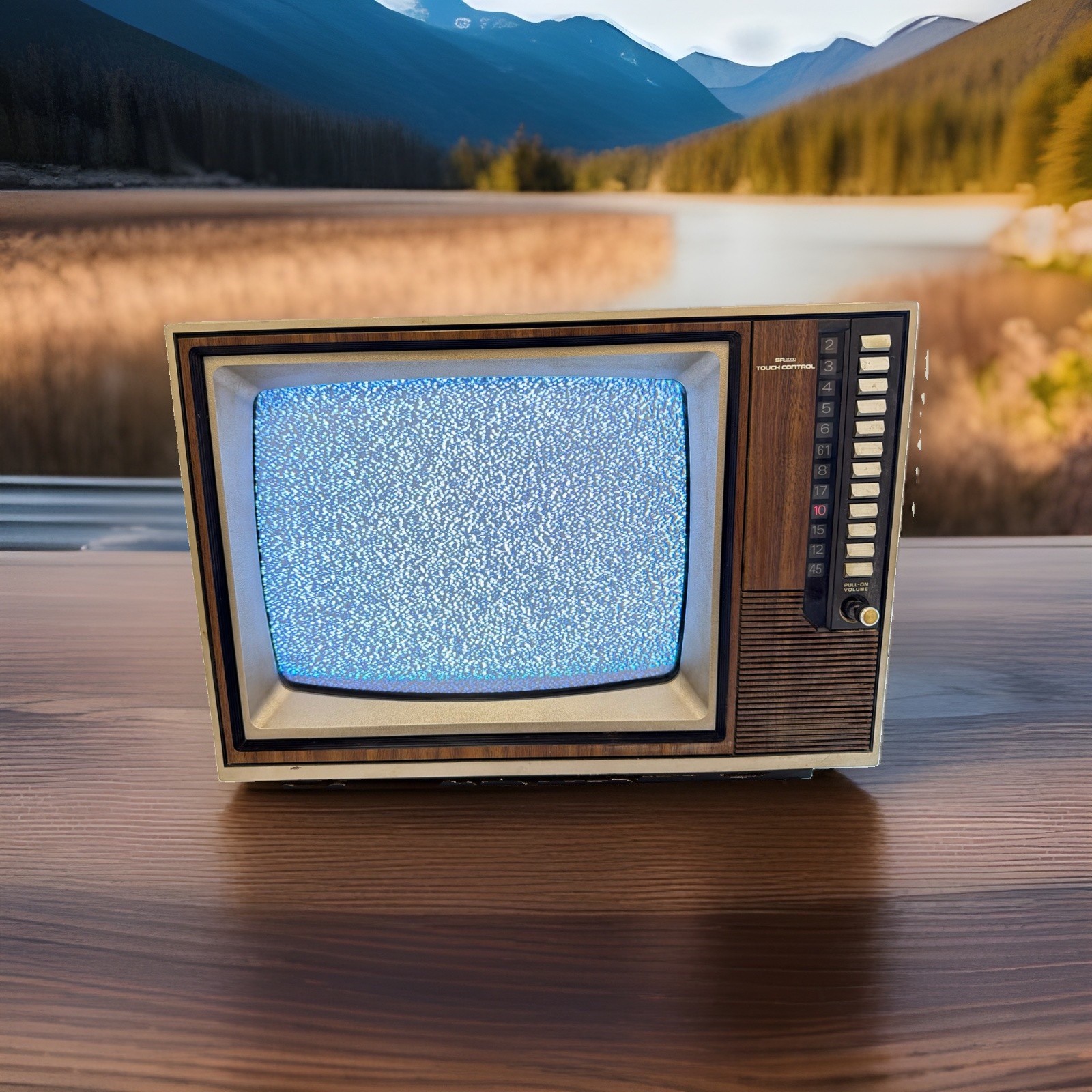VTG Sears Roebuck 1984 SR2000 14” Wood Grain CRT TV Model 564-40390450 No Remote