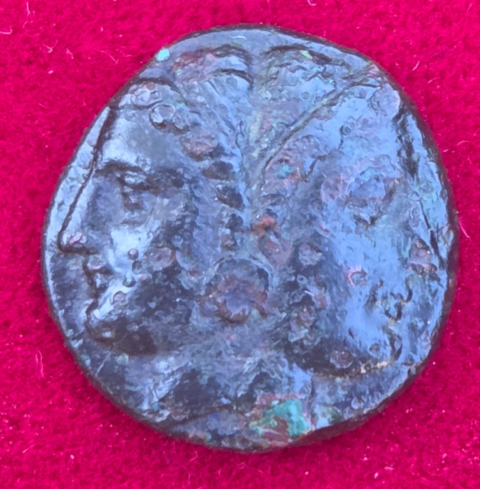 Mysia Lampsacus Ancient Greek Bronze Coin Helmeted Athena Pegasus - Rare