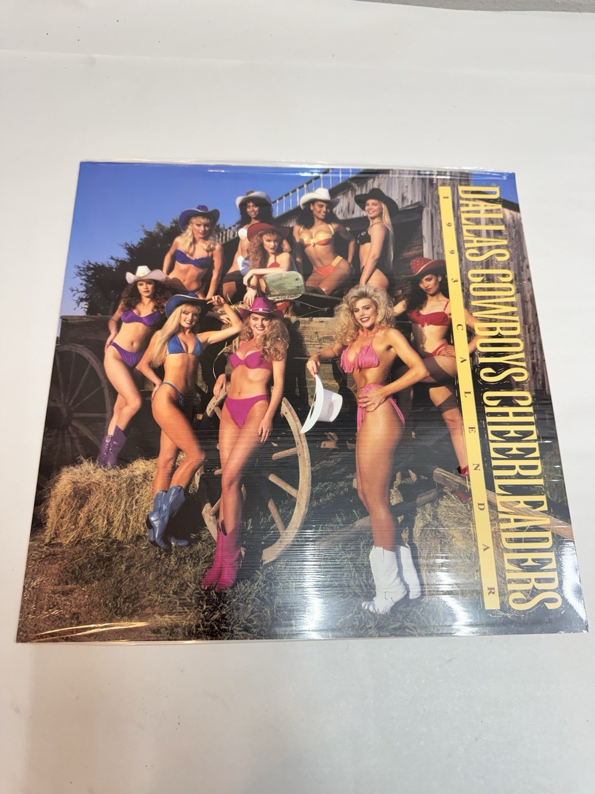 1993 Dallas Cowboy Cheerleaders Calendar NEW SEALED