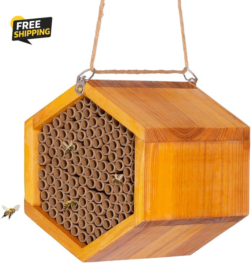 Mason Bee House - Handmade Natural Wooden Bee Hive Coated  Wax for Water-Proof
