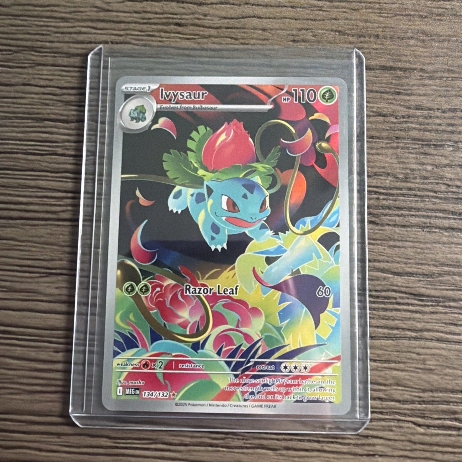 Ivysaur 134/132 Illustration Rare Mega Evolution Pokemon Holo NM