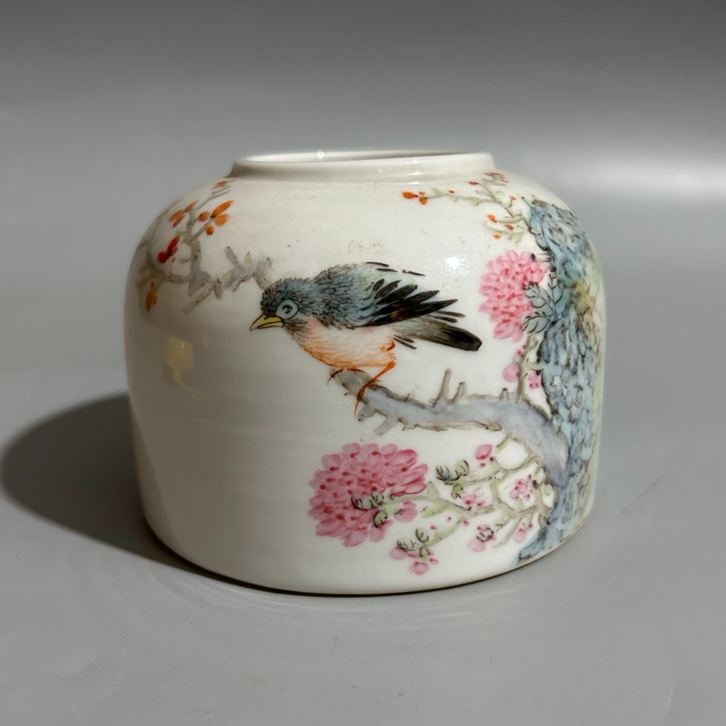 Nice Chinese Antique Art Hand Qing Dynasty Famille Rose Porcelain Bird Wash