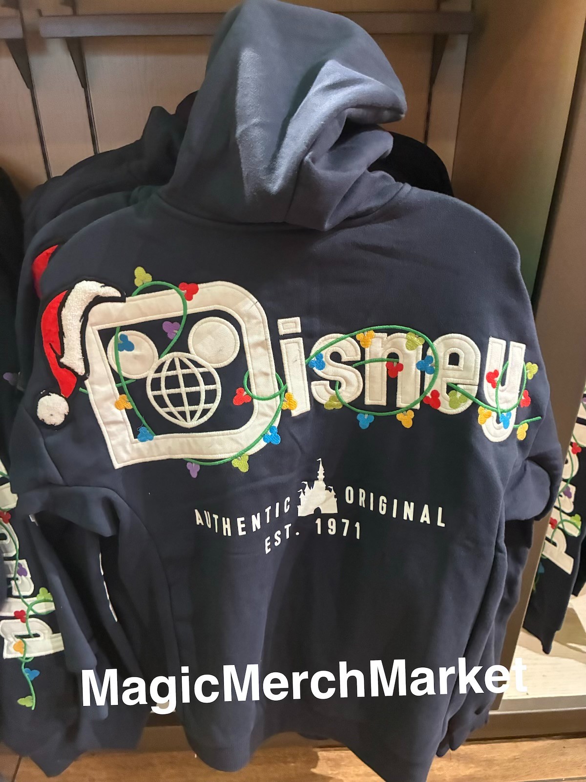 2026 Walt Disney World Parks Christmas Holiday Lights Zip Up Hoodie Adult Sizes