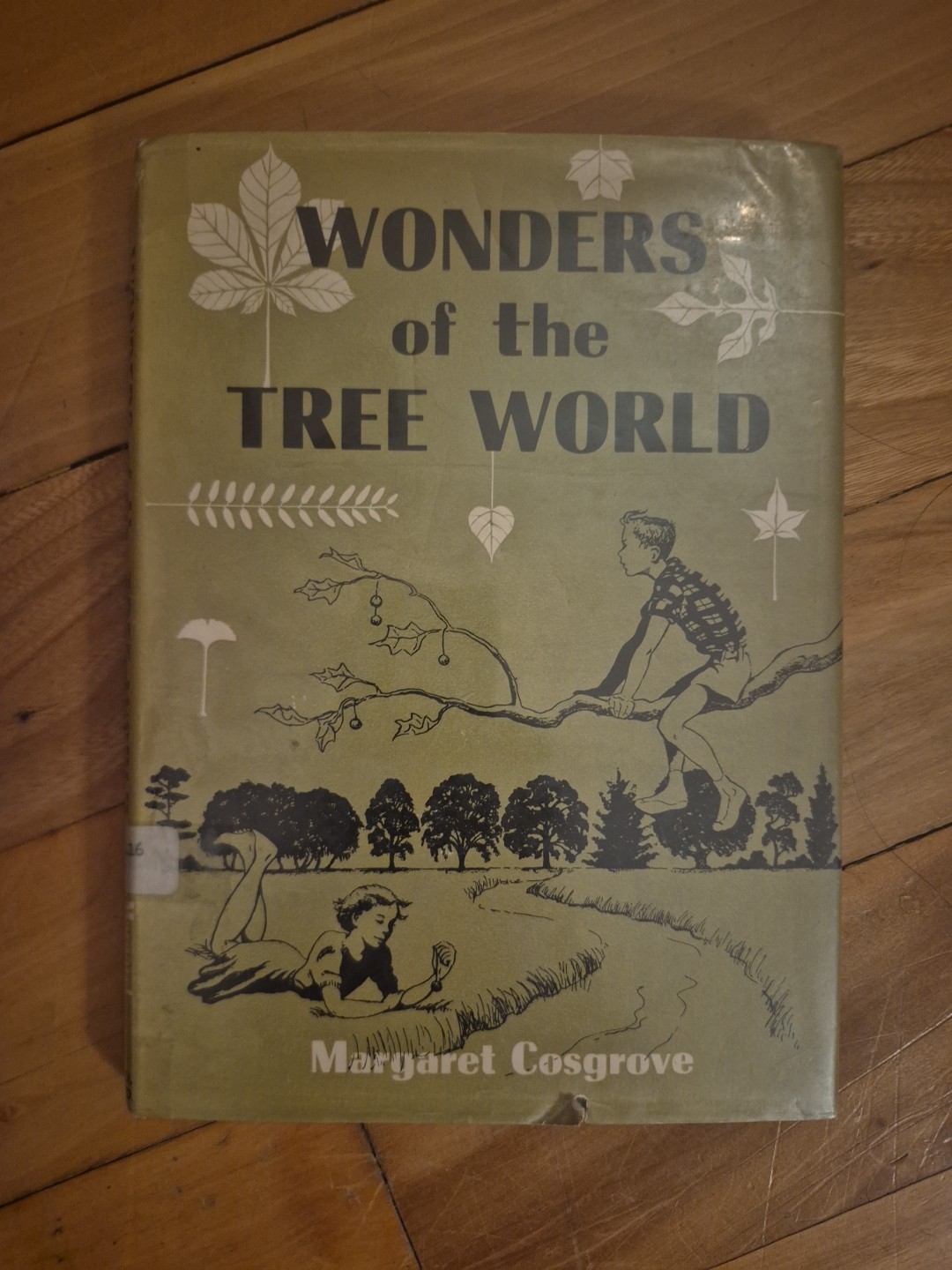 Wonders of the Tree World by Margaret Cosgrove - 1953 Children's Science Book Wonders of the Tree World by Margaret Cosgrove - 1953 Children's Science Book