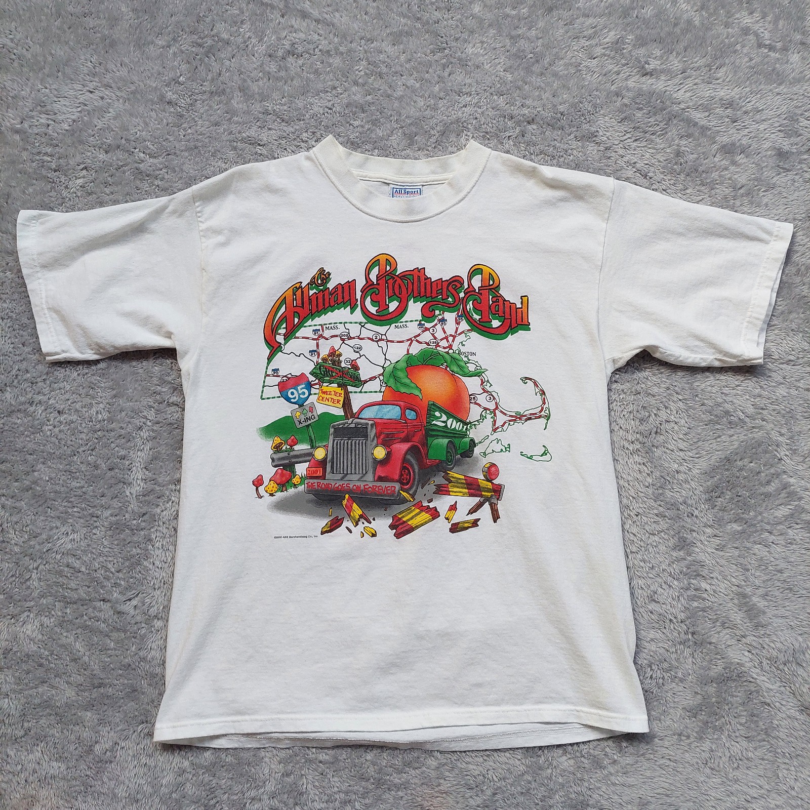 Vintage 2000 Allman Brothers Band Tour T-Shirt L White Concert Tee Mass Dates