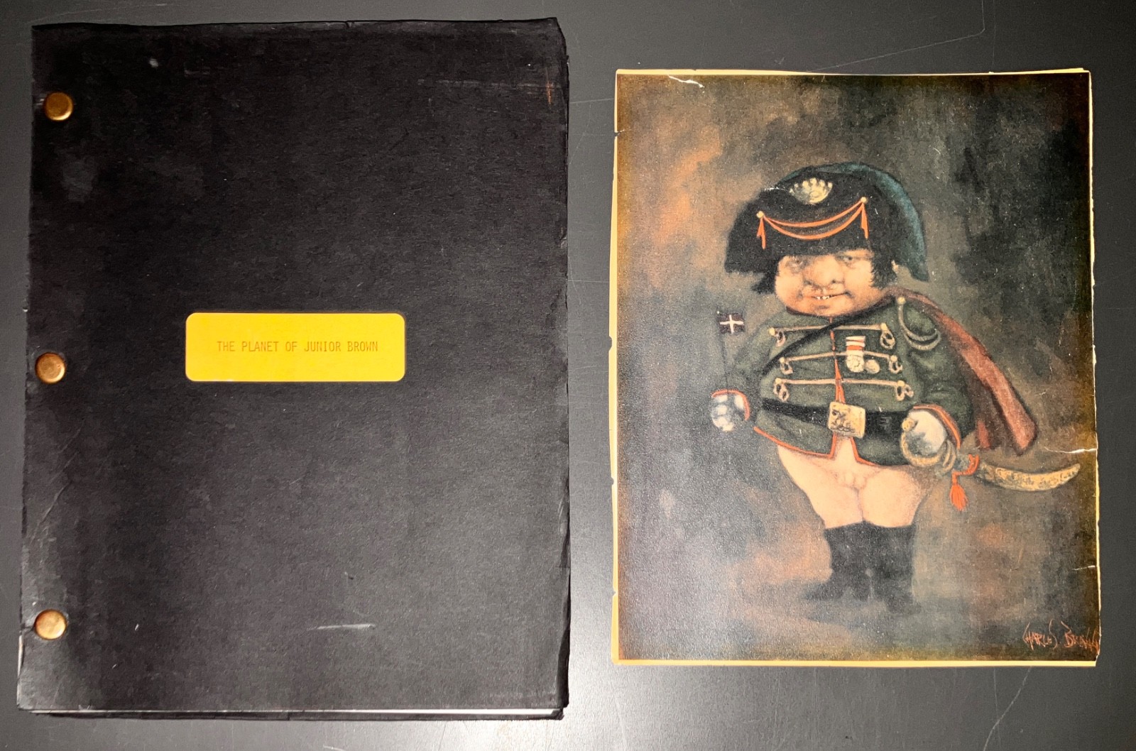 THE PLANET OF JUNIOR BROWN 1997 Kevin Sullivan 2nd Draft Original Screenplay COA