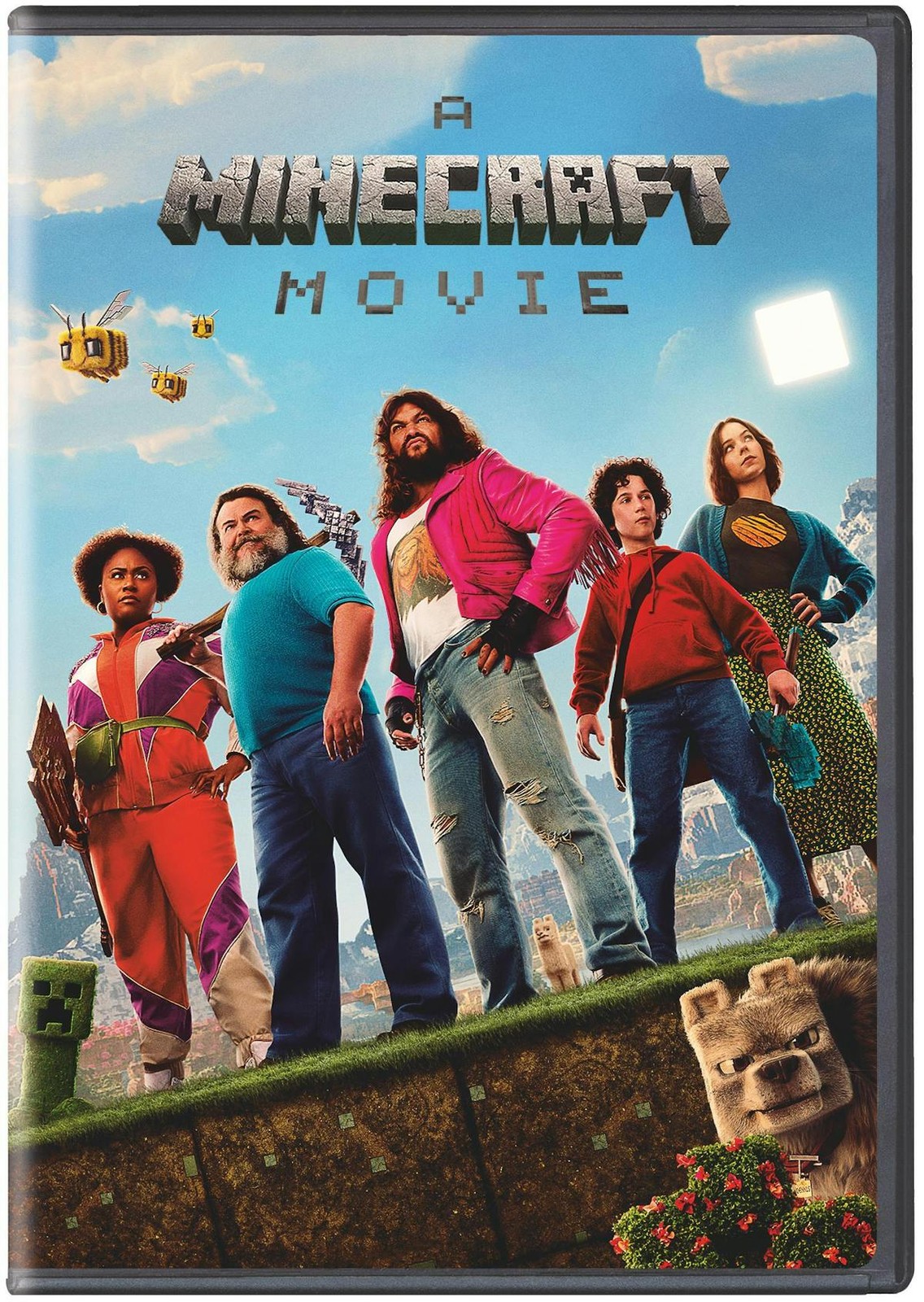 A Minecraft Movie DVD NEW
