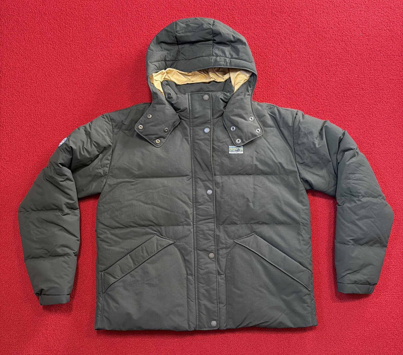 Patagonia Women’s Downdrift Hooded Jacket Pine Needle Green Large Patagonia Women’s Downdrift Hooded Jacket Pine Needle Green Large