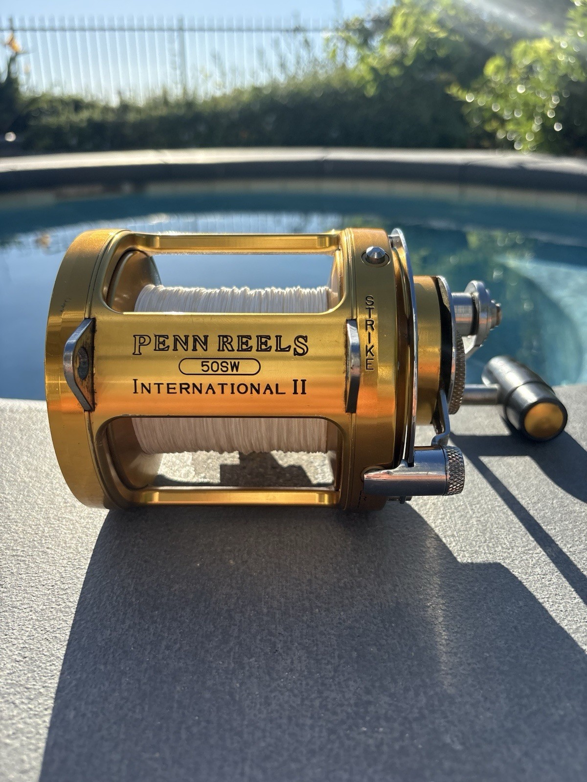 Penn International 50sw - 2 Speed (Check Description) Penn International 50sw - 2 Speed (Check Description)