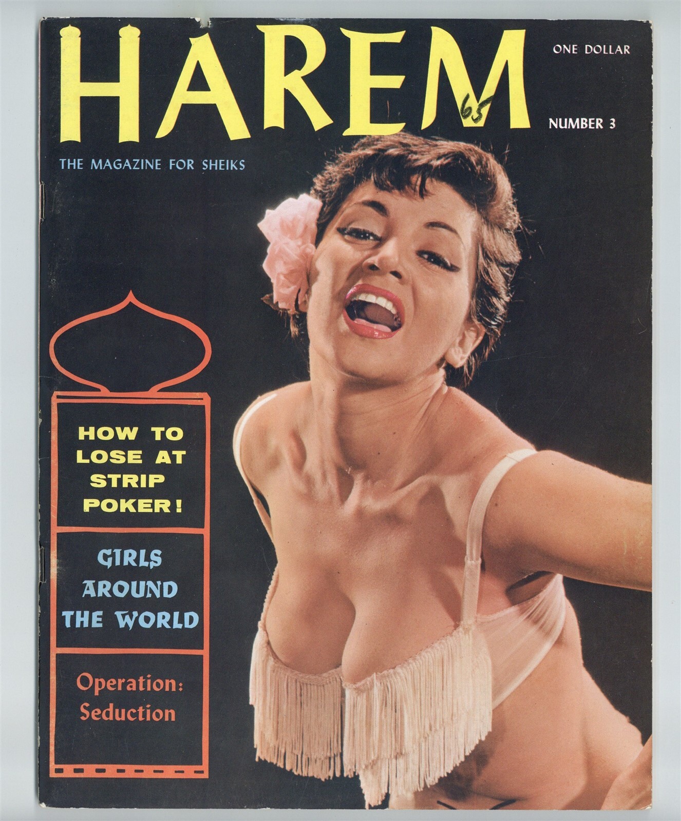 Harem #3 Terri Higgins Centerfold 1950 Art Photography 68p Pinup Magazine M36388