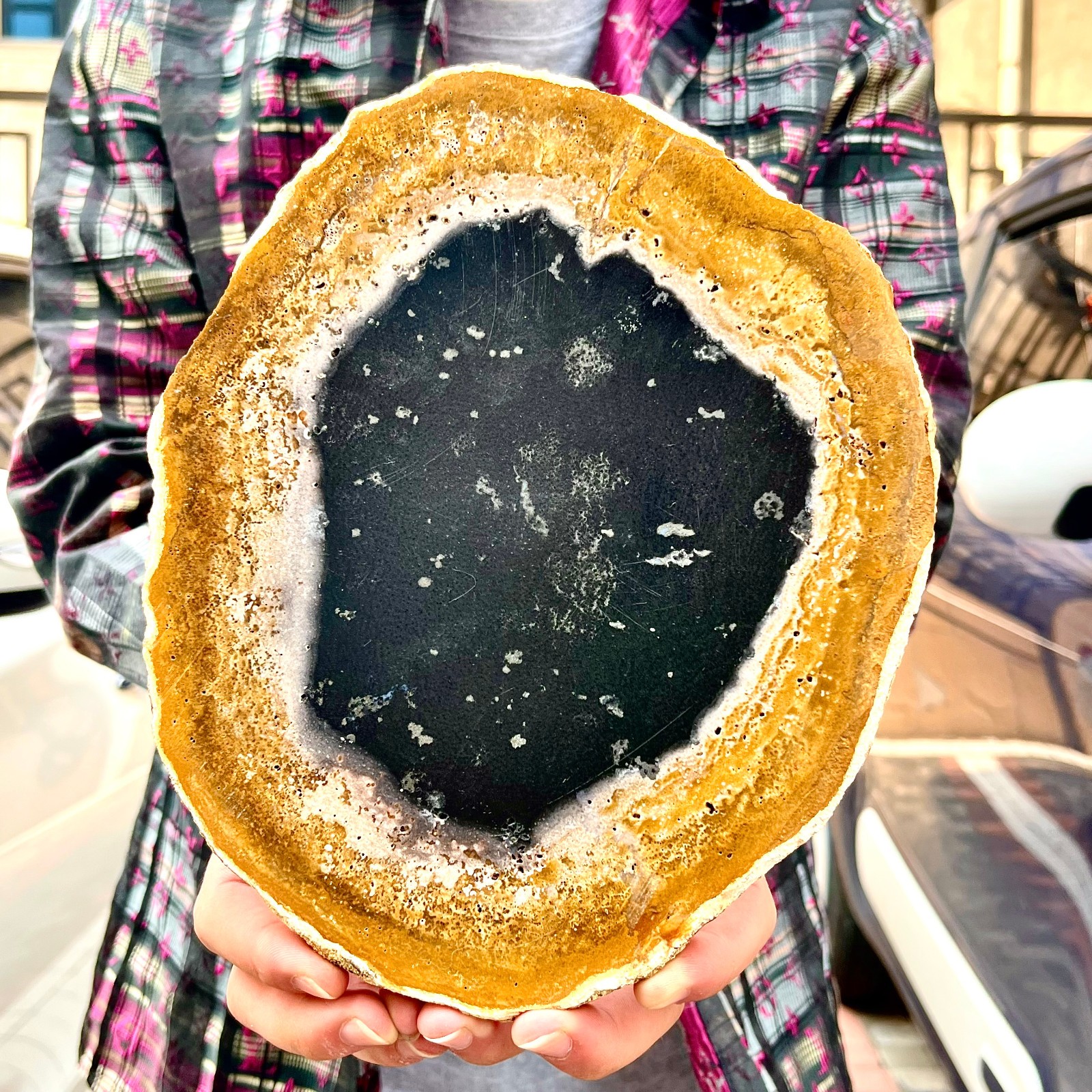 2.4LB Large Natural Petrified Wood Crystal Fossil Slice Shape Specimen Healing