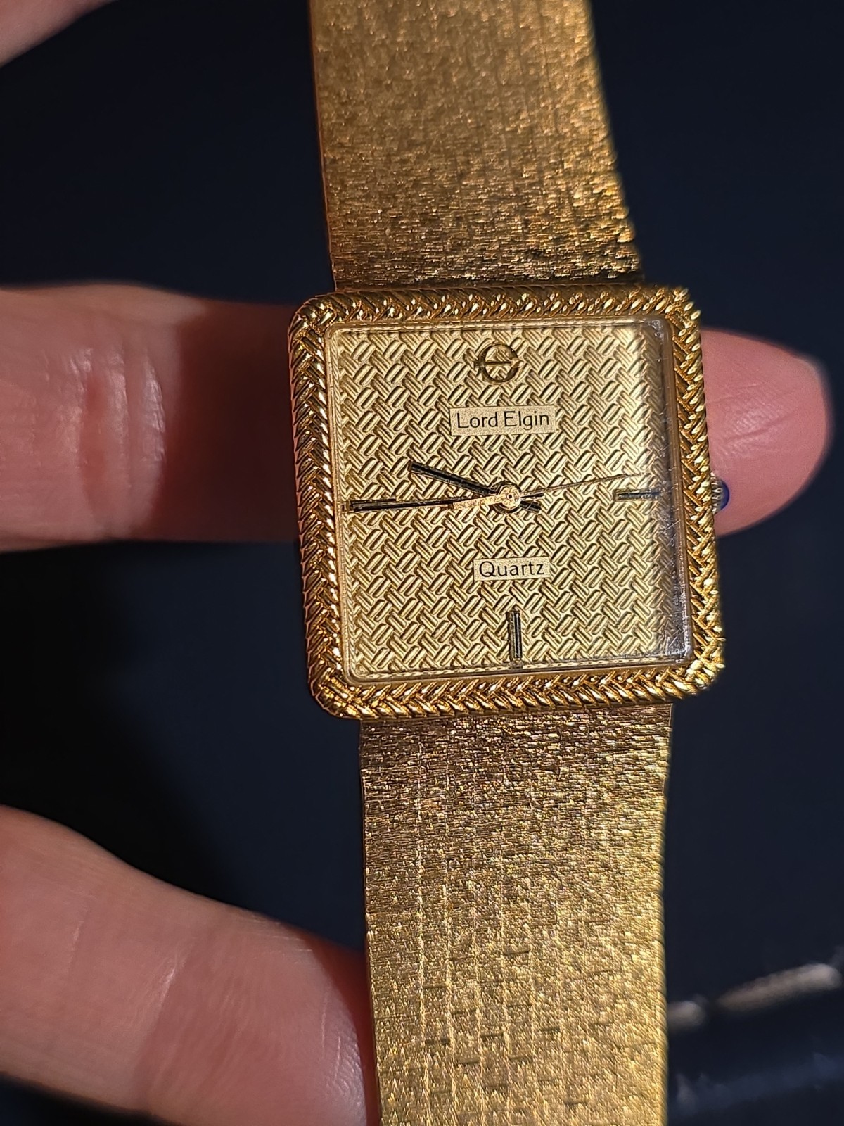 Lord Elgin Vintage 14K Gold Filled Mesh, Bark, Milanese Band. Rare Find