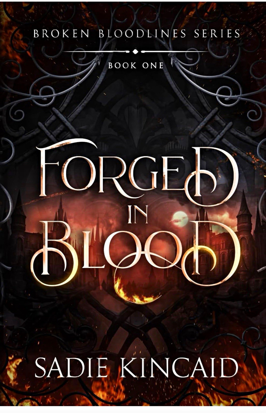 Sadie Kincaid Forged in Blood Broken Bloodlines Book 1 PB Fiction YA English