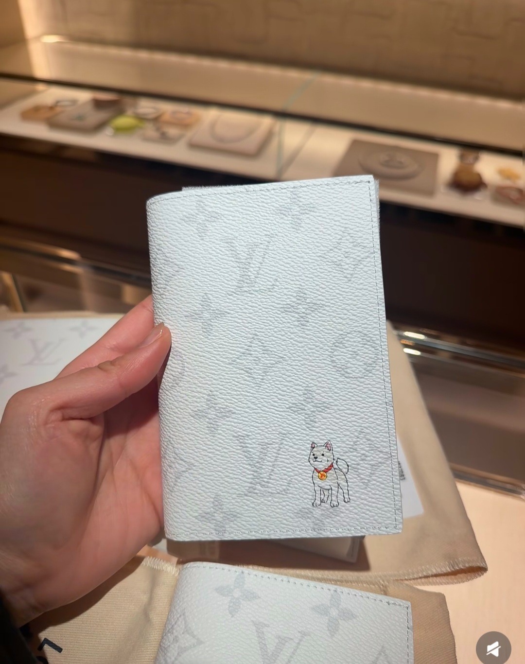 𝑳𝒐𝒖𝒊𝒔 Monogram Passport Cover with Graphic Pattern