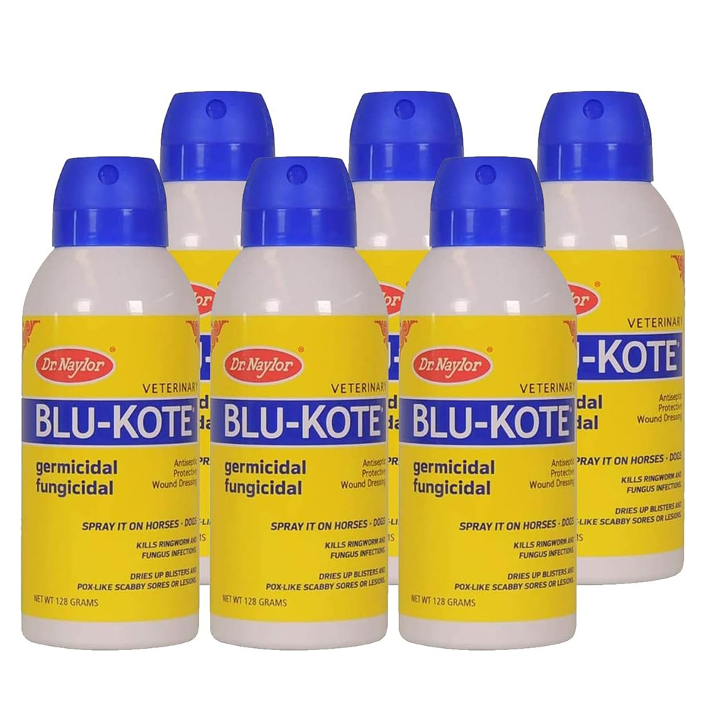 Dr. Naylor Blu-Kote Aerosol - Fast Drying Antiseptic Wound Dressing Pack of 6