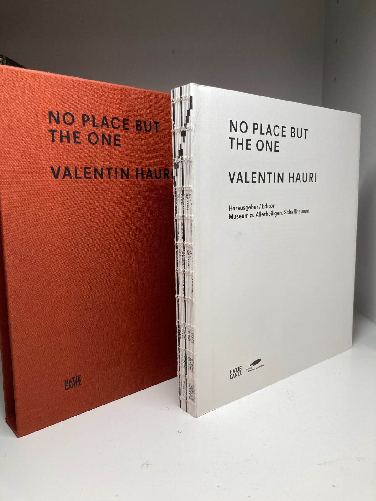 Valentin Hauri: No Place but the One Hatje Cantz Art Book LIKE NEW Slipcase
