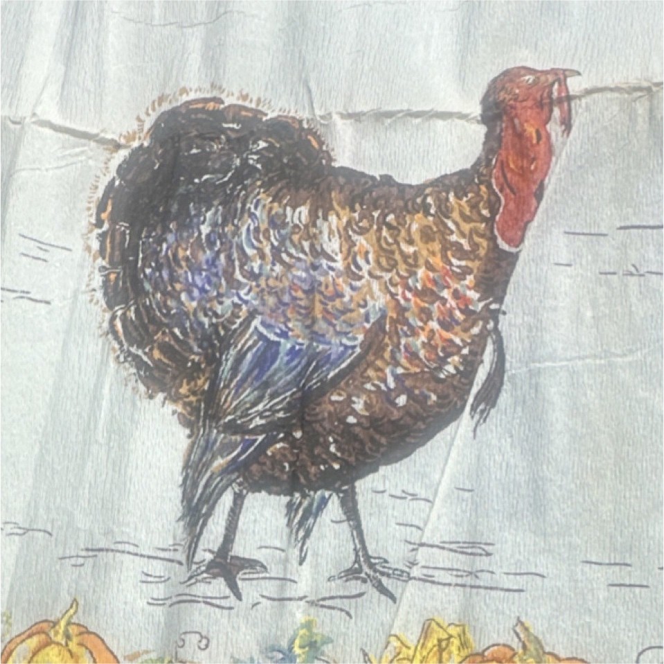 Dennison\'s Paper Disposable Tablecloth Turkey Thanksgiving/Fall Rectangular Dennison\'s Paper Disposable Tablecloth Turkey Thanksgiving/Fall Rectangular