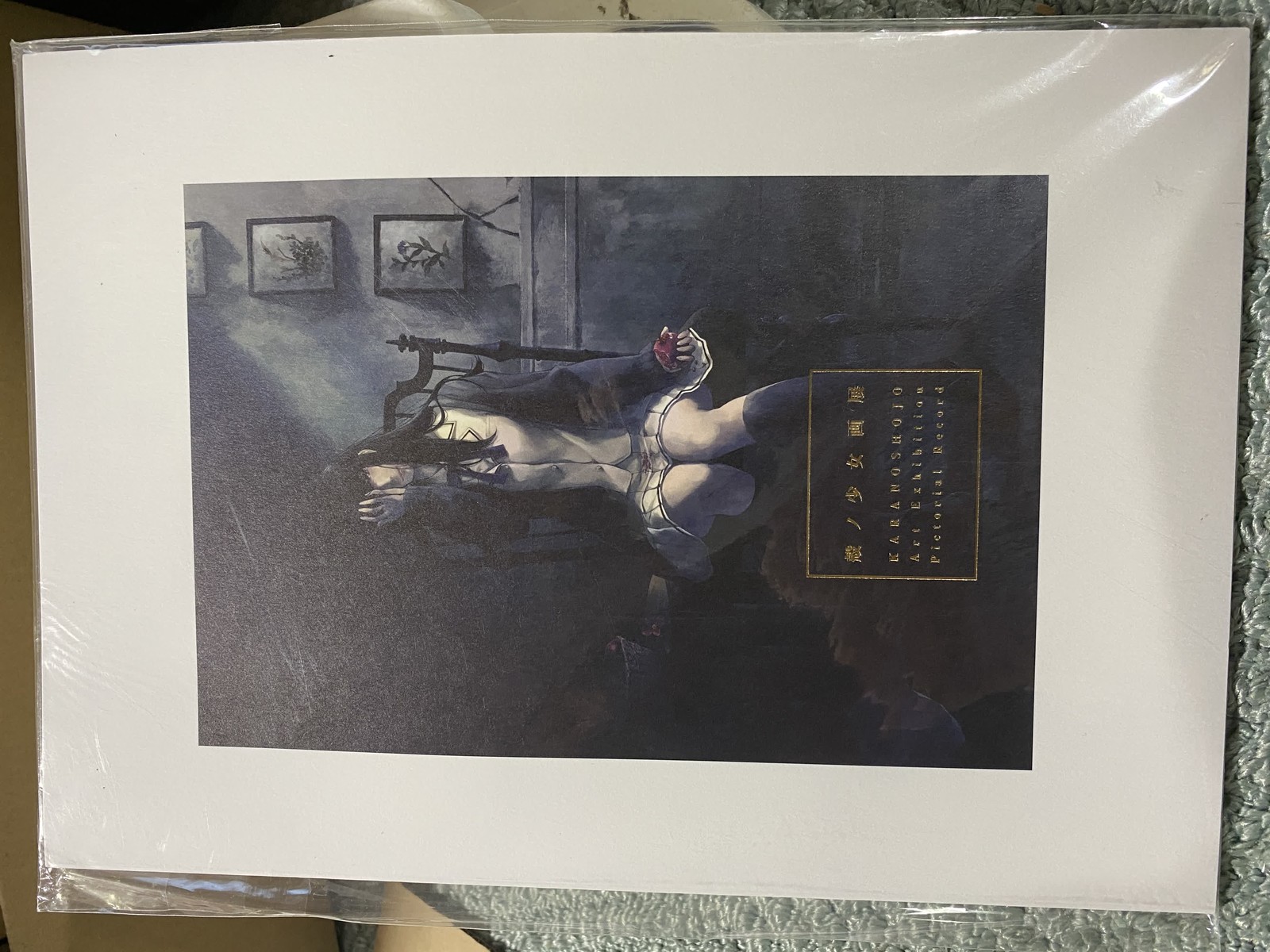 Kara no Shoujo Art Exhibition Official Catalog