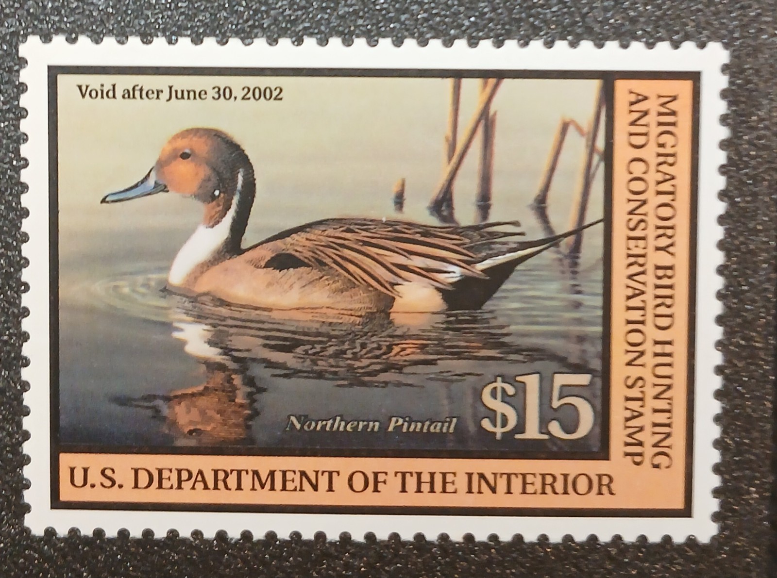 U.S. 2001 Duck Scott #RW68 Stamp MNH