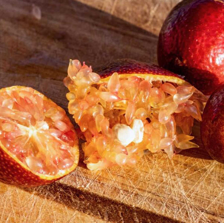 Orange Red Finger Lime Tree - 2-3 Ft - Live Citrus Plant -Australian Finger Lime