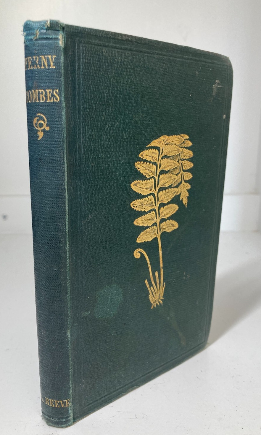 Charlotte Chanter Ferny Combes 1856 1st Ed 8 Color Plates Gilt Fern Cloth