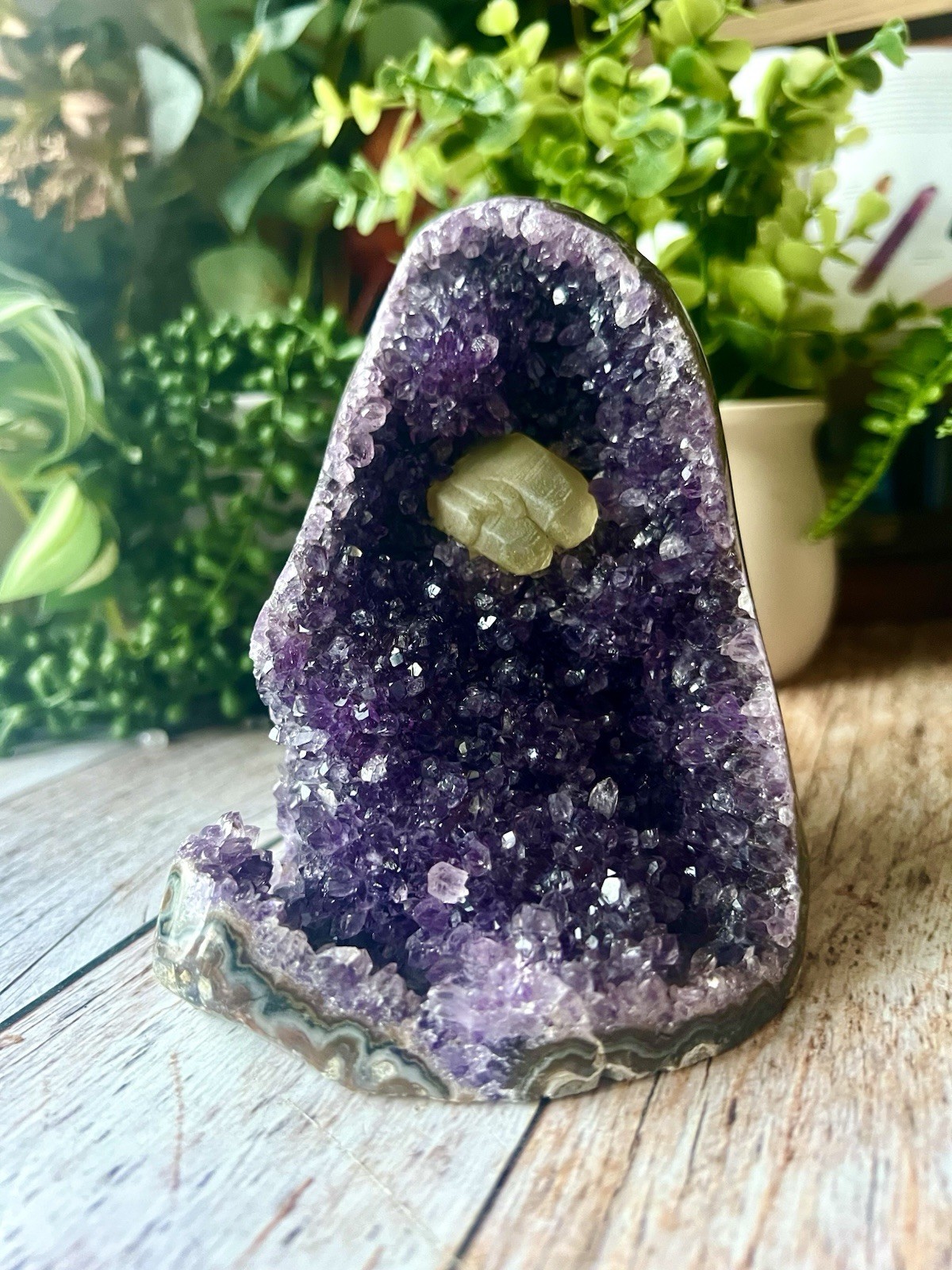 Natural Unique A+ Amethst Crystal Chair-Like Sparking Deep Purple Cluster 1.7kg
