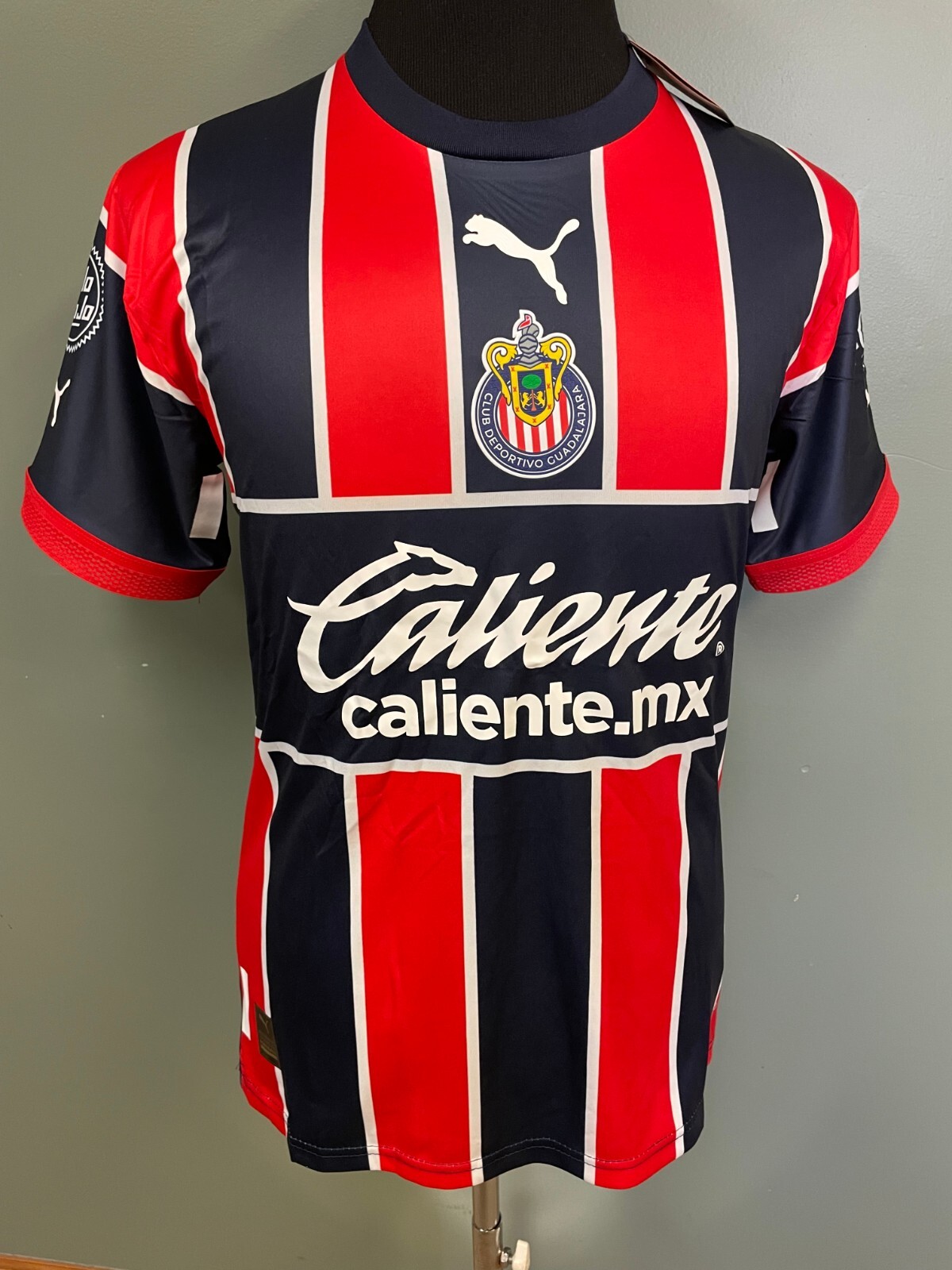 PUMA CHIVAS DE GUADALAJARA THIRD JERSEY 2023 MULTIPLE SIZES SeeDescription Below