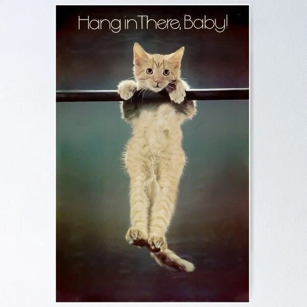 Hang In There Cat Motivational Vintage Poster