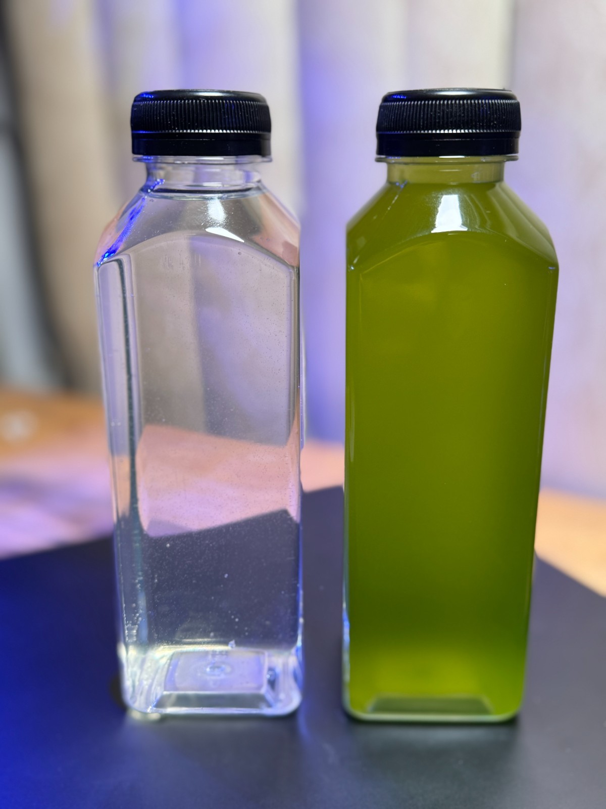 LIVE Copepods 16 oz & LIVE Phytoplankton culture 16 oz LIVE Copepods 16 oz & LIVE Phytoplankton culture 16 oz
