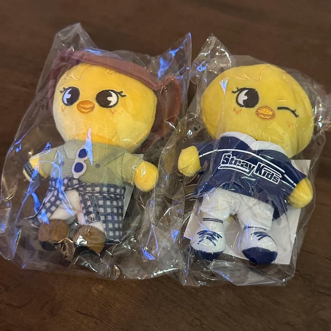 Stray Kids Pop Up Bag Charm Keychain 2pc Set Authentic Limited Edition Stray Kids Pop Up Bag Charm Keychain 2pc Set Authentic Limited Edition