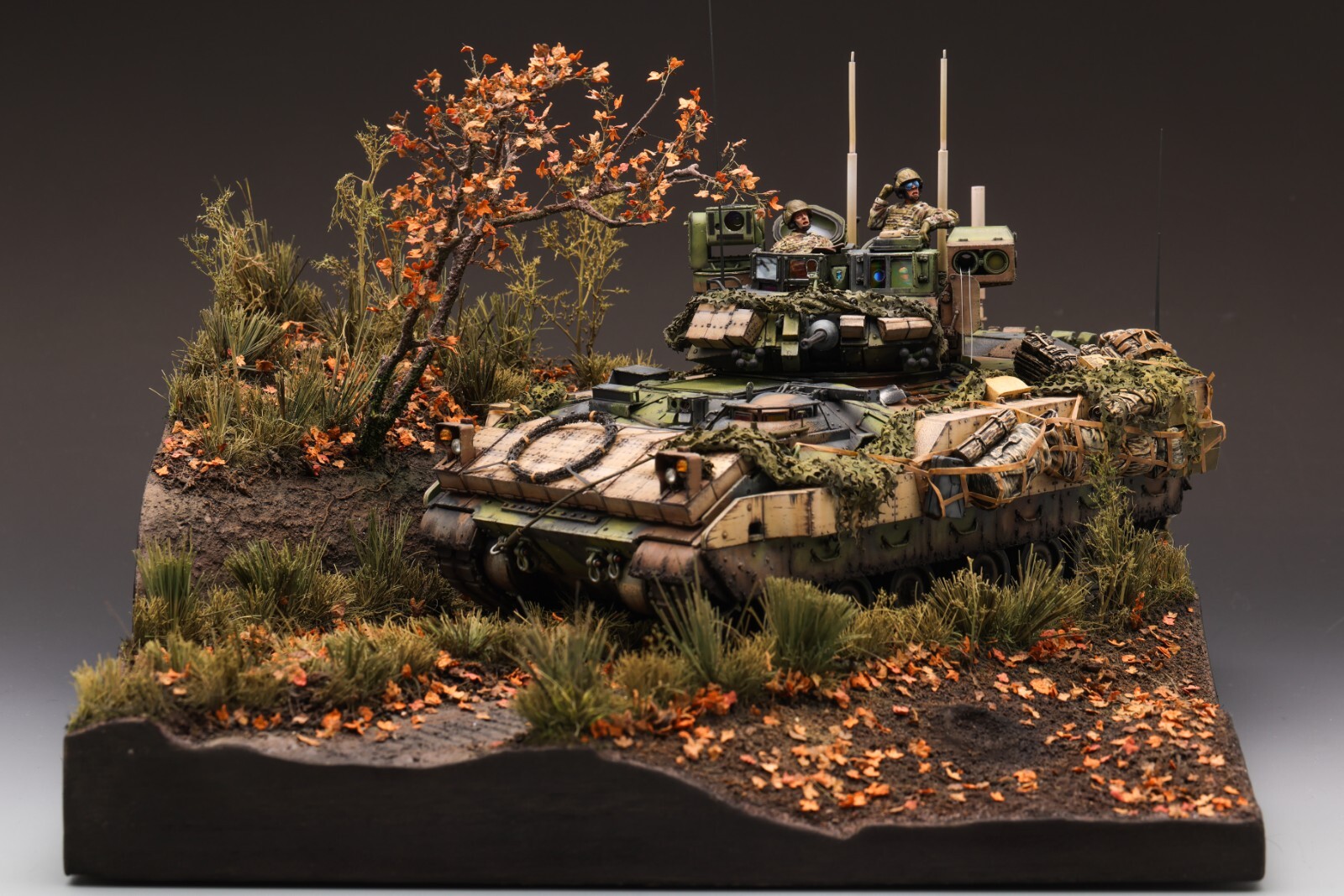 Model Building / Painting Commision for 1/35 and 1/72