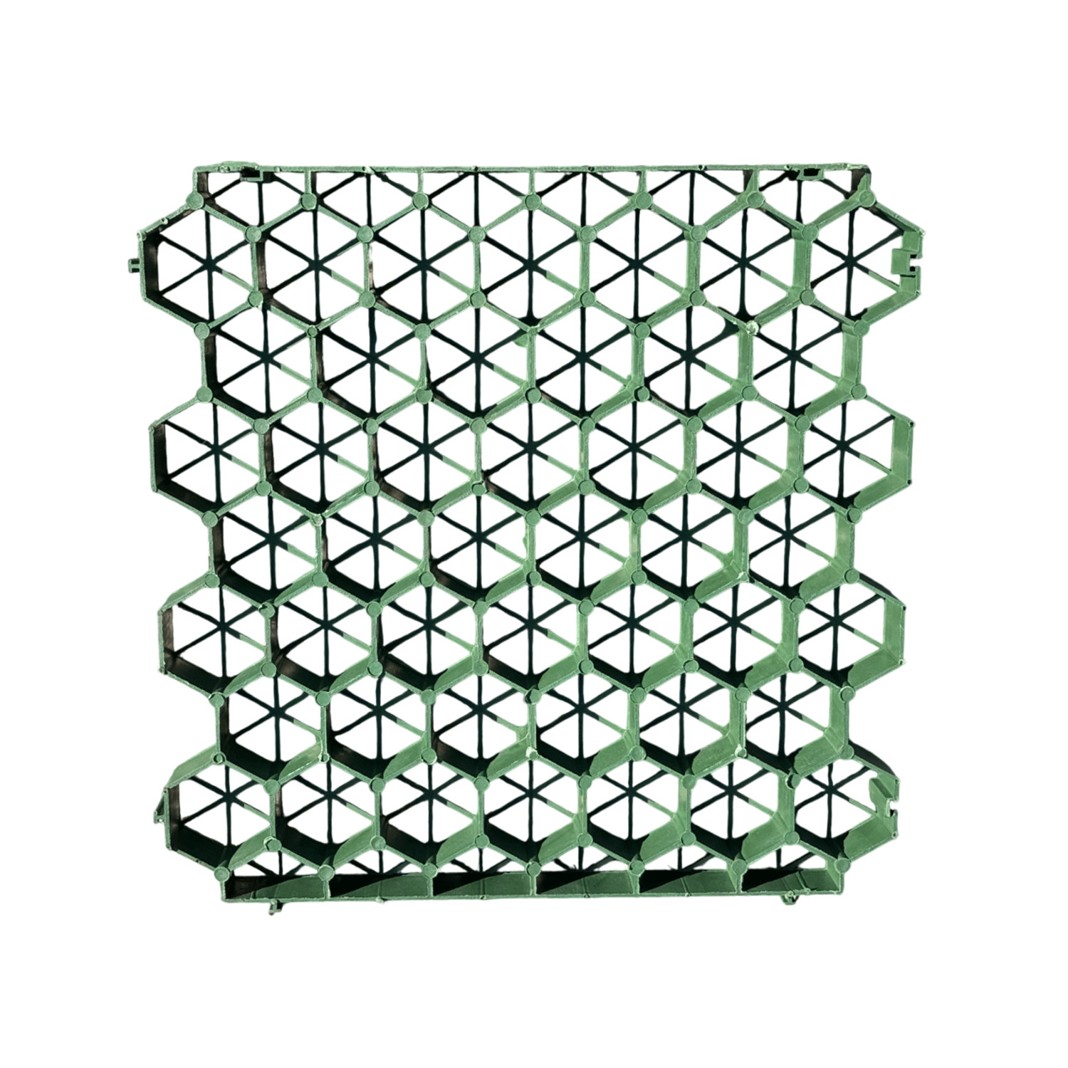 Geogrid Paver 1.5