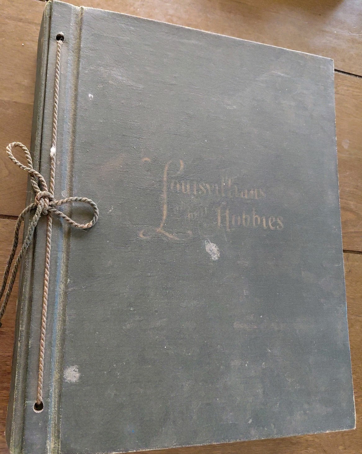 Rare 1926 Louisvillians and Their Hobbies Politcal Cartoon book Van Leshout