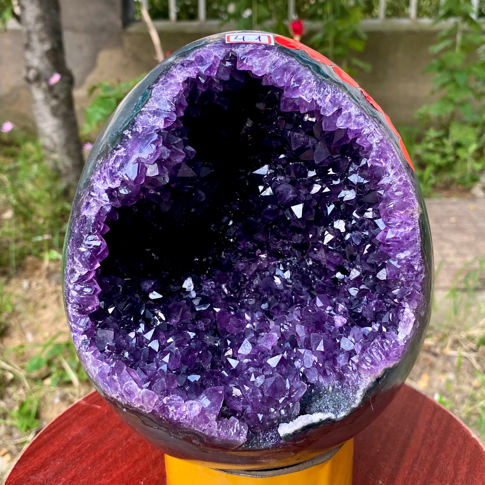 9.01LB High quality Natural Amethyst geode quartz crystal Dinosaur egg healing