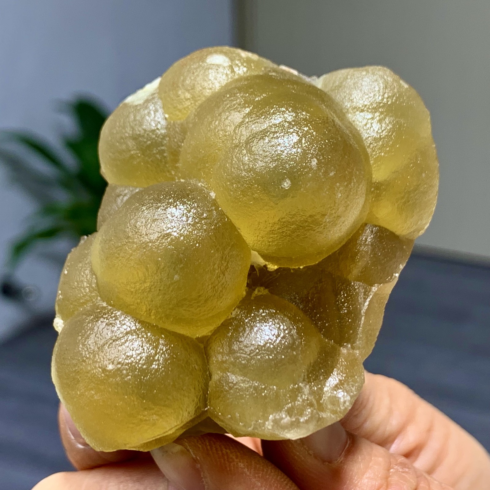 176G Natural transparent yellow spherical Fluorite Mineral Crystal sampleChina
