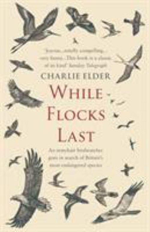 While Flocks Last Paperback Charlie Elder While Flocks Last Paperback Charlie Elder