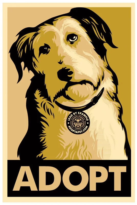 Shepard Fairey Adopt A Dog GOLD Variant 09 S/N Art Poster Print - Obey Giant