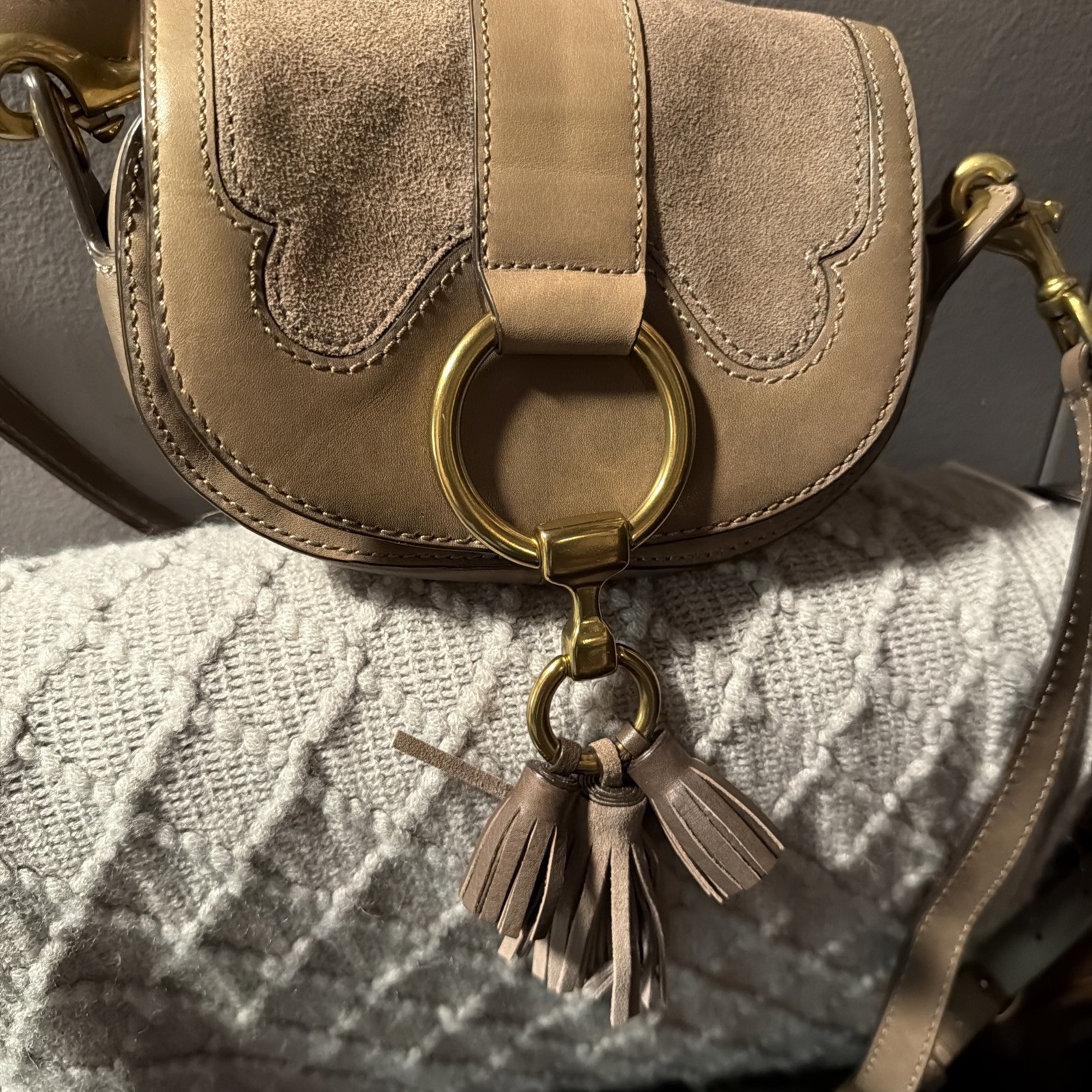 Frye Beige Suede Leather Small Saddle Crossbody Bag Magnetic Tassel Gold