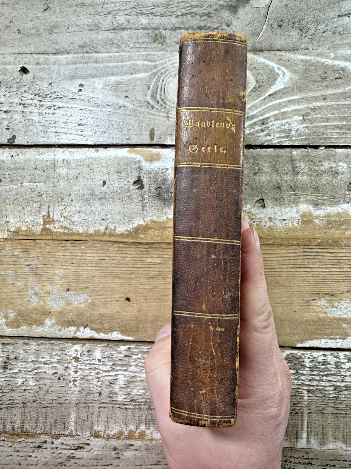 1822 Antique German Language Religious Book “The Wandering Soul” Harrisburg, PA 1822 Antique German Language Religious Book “The Wandering Soul” Harrisburg, PA