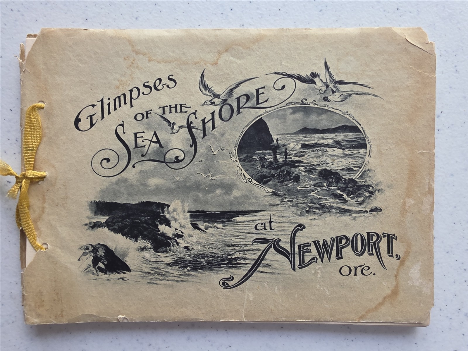 Newport Oregon Sea Shore Antique 1904 Book Portfolio of Photos, 24 Photogravures