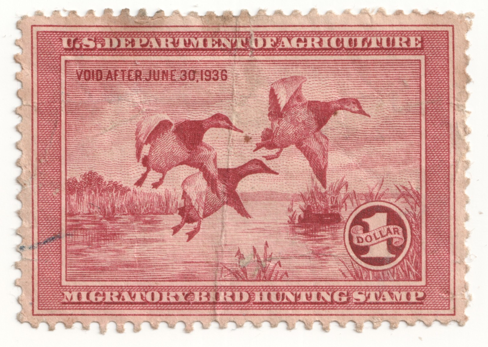 US Dept of Agriculture - Migratory Bird Hunting Stamp One Dollar RARE - Creased US Dept of Agriculture - Migratory Bird Hunting Stamp One Dollar RARE - Creased