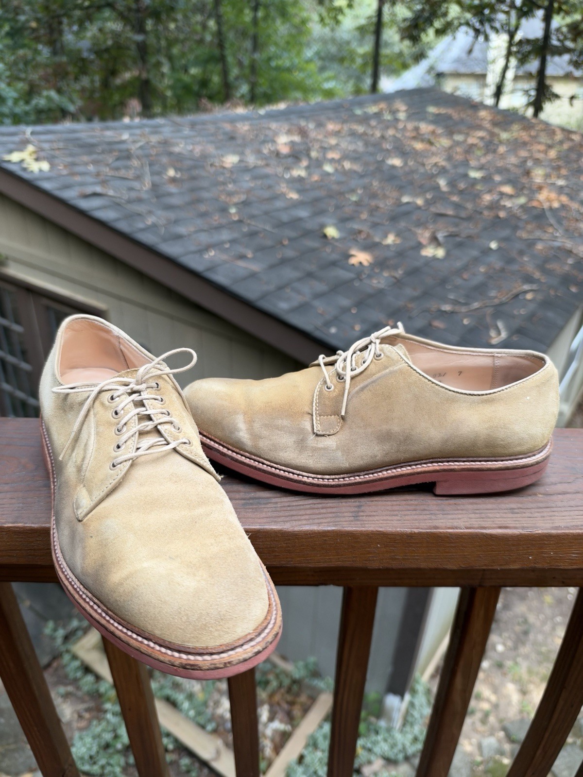 ALDEN BEAMS Exclusive 94492 Suede Plain Toe Derby Men\'s Sz 9 D