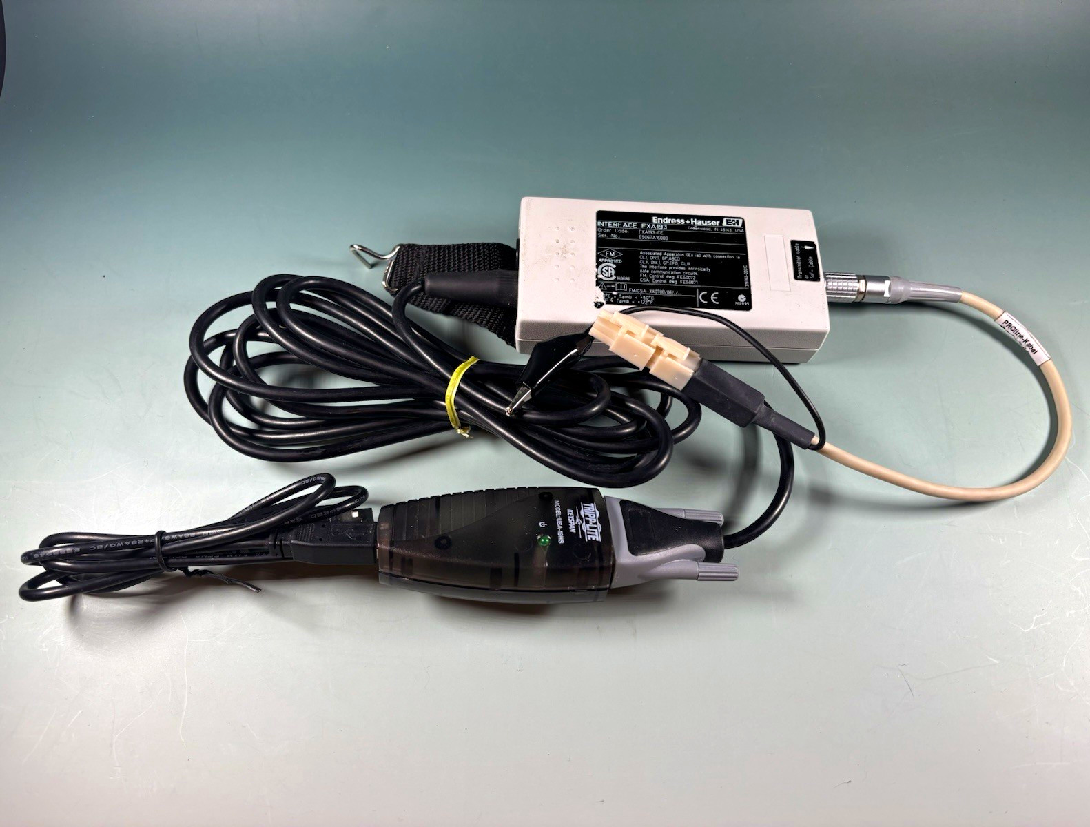 Endress+Hauser FXA193-CE Intrinsically Safe Digital DC SPST Interface READ