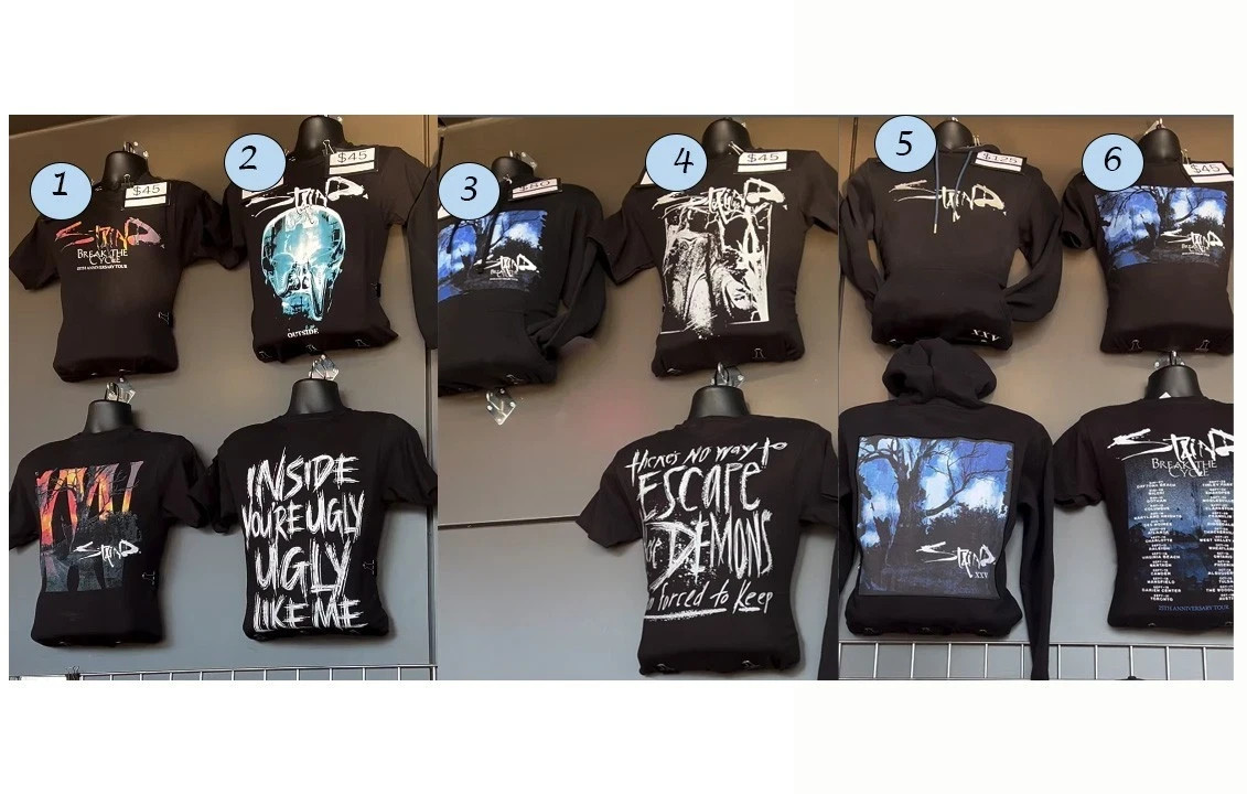 Staind Concert Shirt Hoodie Break The Cycle 25th Anniversary Tour Merch Reprint