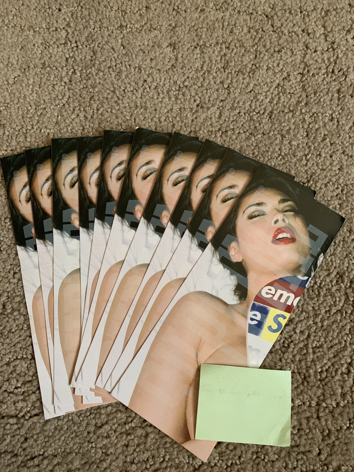Supreme FW24 Tera Patrick Sticker Lot x10 Supreme FW24 Tera Patrick Sticker Lot x10