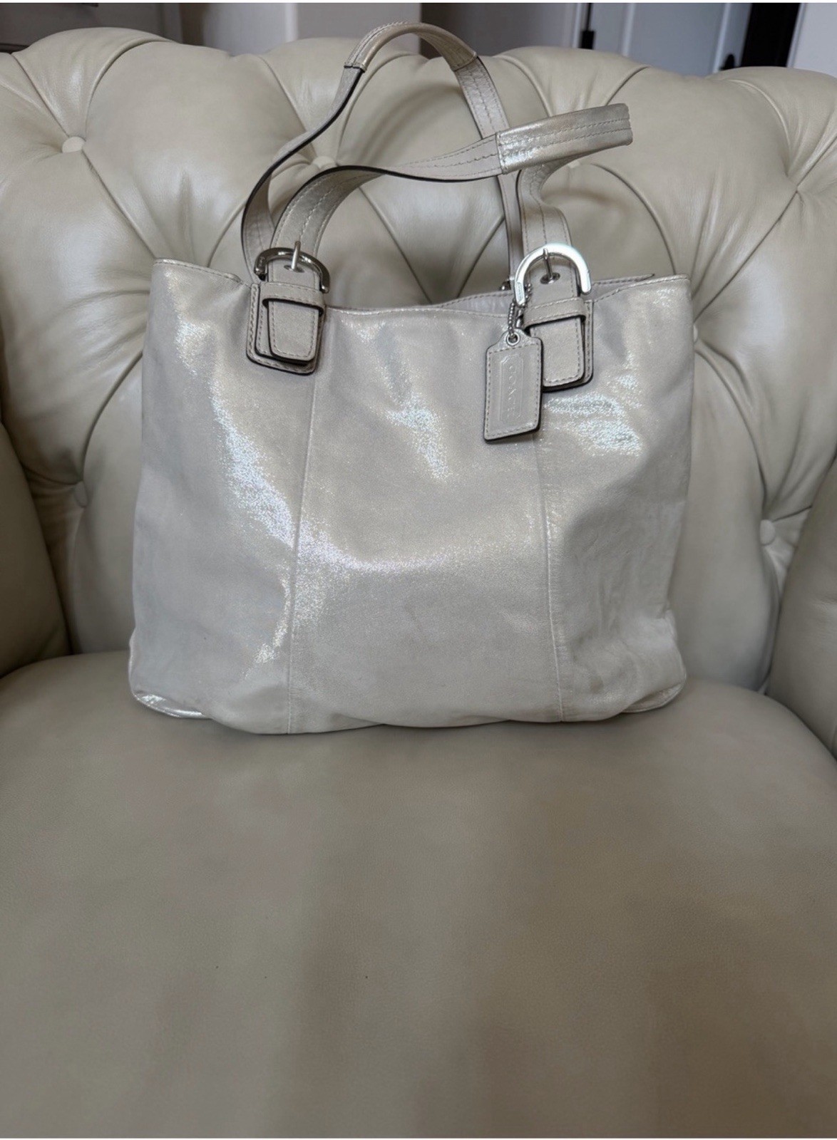 Coach 2012 Soho North South Tote F17216 Champagne Metallic Silver Shimmer Rare