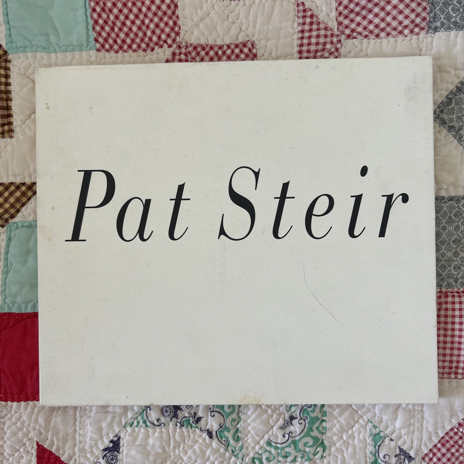 PAT STEIR: WATERFALLS - 1990 Exhibition Catalog w/ Essay Holland Cotter